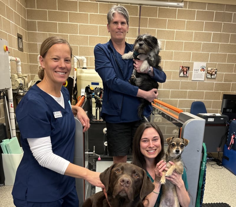 Mountain View Veterinary Hospital Rehab Team